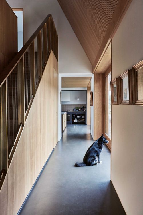 Wände und Decken wurden mit honigfarbenem Eichenholz verkleidet, das sich auch in der Treppe, den Fenstern und einigen Details wiederfindet. Das Treppengeländer ist mit Klaviersaiten bespannt. Blick vom Treppenhaus in Richtung Küche.
